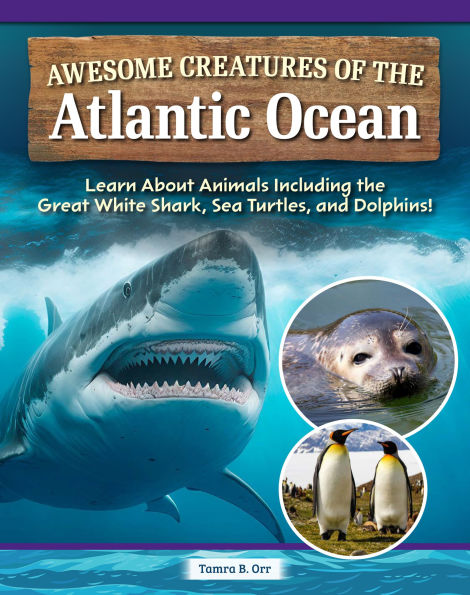 Awesome Creatures of the Atlantic Ocean: Learn About Animals Including Great White Shark, Sea Turtles, and Dolphins!