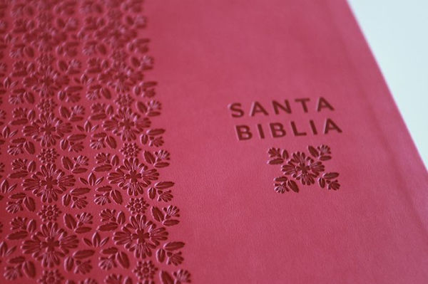 Biblia Reina Valera Revisada 1960 letra súper gigante, símil piel fucsia rosada / Spanish Bible RVR 1960 Super Giant Print, Fuchsia Pink Leathersoft