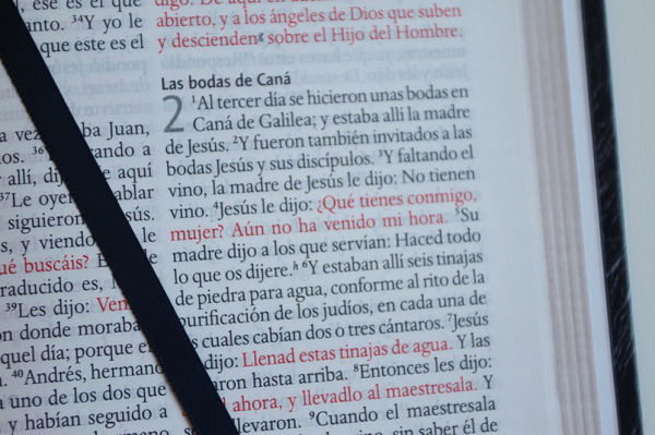 Biblia RVR 1960 letra grande tamaño manual, símil piel León de Juda / Spanish Bible RVR 1960 Handy Size Large Print imitation leather Lion of Judah