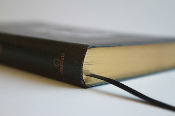 Biblia RVR 1960 letra grande tamaño manual, símil piel León de Juda / Spanish Bible RVR 1960 Handy Size Large Print imitation leather Lion of Judah