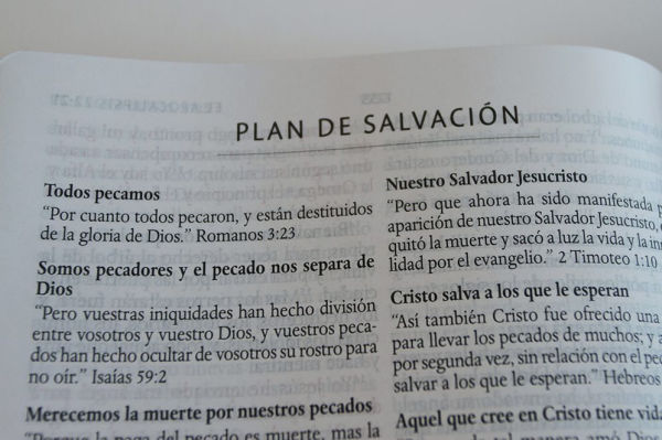 Biblia RVR 1960 letra grande tamaño manual, símil piel León de Juda / Spanish Bible RVR 1960 Handy Size Large Print imitation leather Lion of Judah