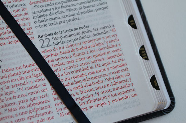 Biblia Reina Valera 1960 letra grande. Biblia León símil piel índice / Spanish Bible RVR 1960 Handy Size Large Print imitation leather Lion of Judah
