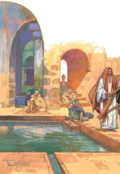 La Biblia Ilustrada / The Illustrated Bible