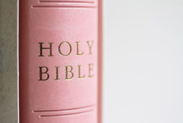 KJV Holy Bible, Giant Print Thinline Large format, Pink Premium Imitation Leathe r with Ribbon Marker, Red Letter, and Thumb Index