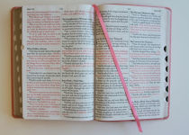 Alternative view 10 of KJV Holy Bible, Giant Print Thinline Large format, Pink Premium Imitation Leather with Ribbon Marker, Red Letter, and Thumb Index