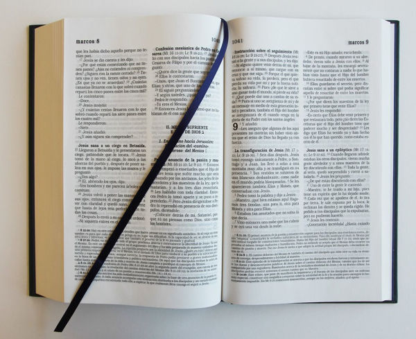 Biblia Católica letra grande, tapa dura azul con la Virgen de Guadalupe / The Catholic Bible: Large print edition. Leather-look hardcover, blue color