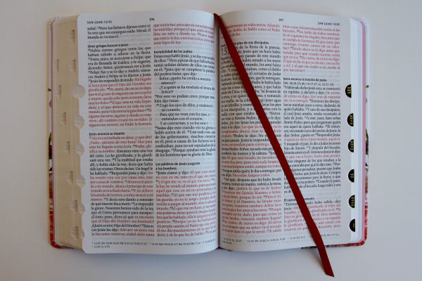 Biblia Reina Valera 1960 letra grande. Tela rosada con flores, manual con índice / Spanish Bible RVR 1960, Large Print, Pink Floral Cloth with Index