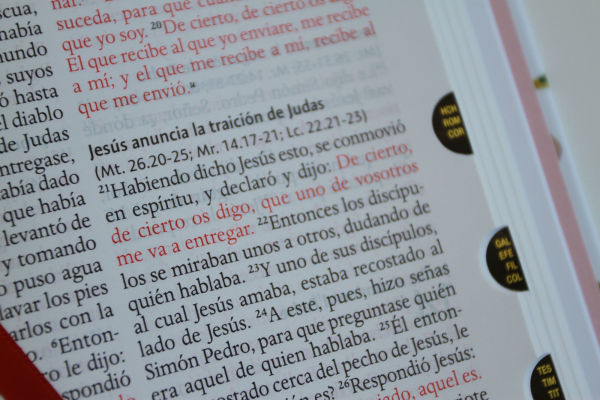 Biblia Reina Valera 1960 letra grande. Tela rosada con flores, manual con índice / Spanish Bible RVR 1960, Large Print, Pink Floral Cloth with Index