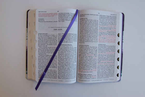Biblia RVR1960 Tapa dura y tela morada con flores tamaño manual con índice / Spanish Bible RVR 1960, Hardcover, Purple Cloth with Flowers, Handy Size