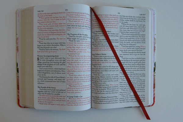 KJV Holy Bible, Large Print Medium format, Pink Cloth Hardcover w/Ribbon Marker, Red Letter