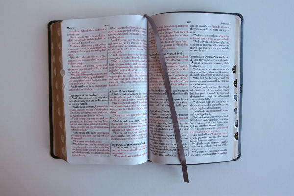 KJV Holy Bible, Large Print Medium format, Gray Faux Leather with Ribbon Marker, Red Letter, thumb Index