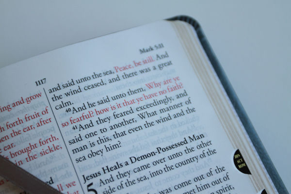 KJV Holy Bible, Large Print Medium format, Gray Faux Leather with Ribbon Marker, Red Letter, thumb Index
