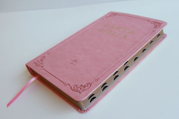 Biblia RVR 1960 letra grande tamaño manual