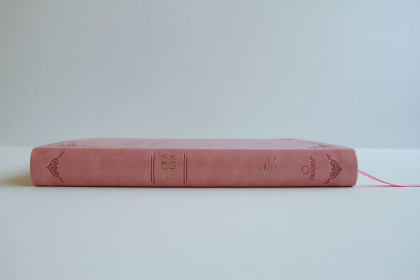Biblia RVR 1960 letra grande tamaño manual
