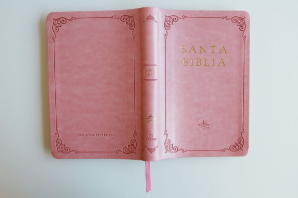 Biblia RVR 1960 letra grande tamaño manual