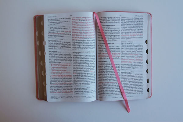 Biblia RVR 1960 letra grande tamaño manual