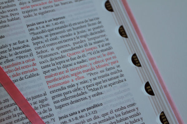 Biblia RVR 1960 letra grande tamaño manual