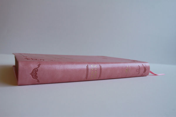 Biblia RVR 1960 letra grande tamaño manual