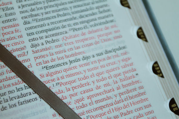 Biblia RVR 1960 letra grande tamaño manual, Piel gris con índice / Spanish Bible RVR 1960 Handy Size Large Print Leathersoft Gray with index