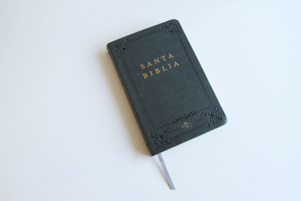 Biblia RVR 1960 letra grande tamaño manual, Piel gris con índice / Spanish Bible RVR 1960 Handy Size Large Print Leathersoft Gray with index