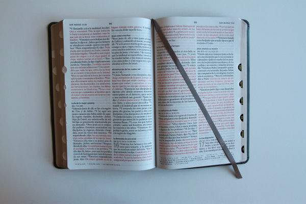 Biblia RVR 1960 letra grande tamaño manual, Piel gris con índice / Spanish Bible RVR 1960 Handy Size Large Print Leathersoft Gray with index