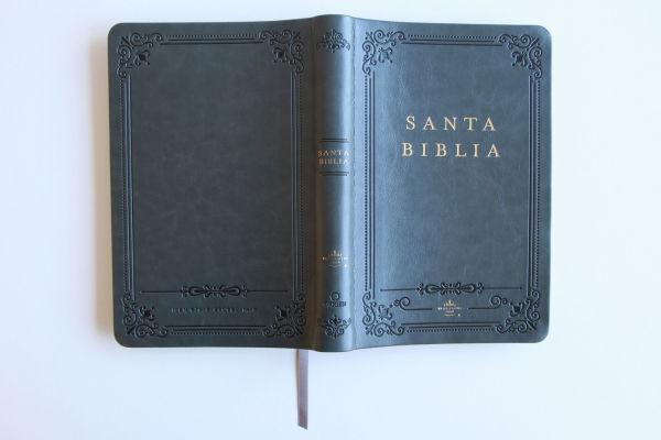 Biblia RVR 1960 letra grande tamaño manual, Piel gris con índice / Spanish Bible RVR 1960 Handy Size Large Print Leathersoft Gray with index