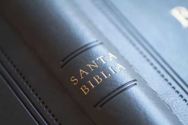 Biblia RVR 1960 letra grande tamaño manual, Piel gris con índice / Spanish Bible RVR 1960 Handy Size Large Print Leathersoft Gray with index