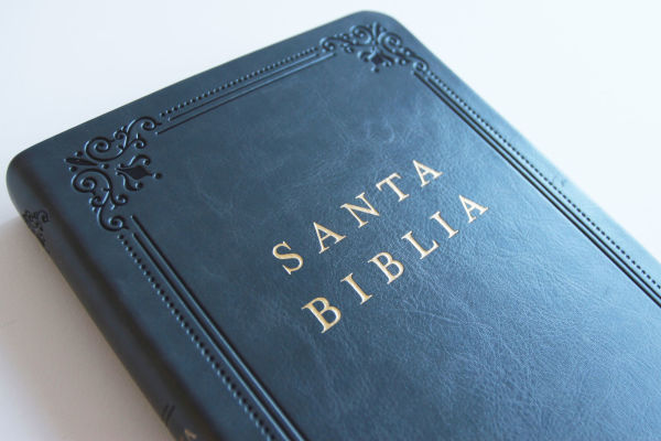 Biblia RVR 1960 letra grande tamaño manual, Piel gris con índice / Spanish Bible RVR 1960 Handy Size Large Print Leathersoft Gray with index