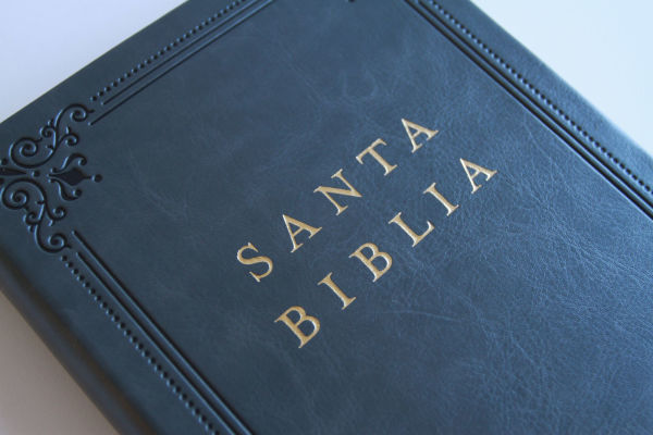 Biblia RVR 1960 letra grande tamaño manual, Piel gris con índice / Spanish Bible RVR 1960 Handy Size Large Print Leathersoft Gray with index