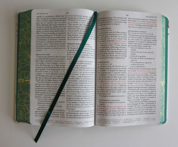 Biblia RVR 1960 letra grande tamaño manual, tapa dura con flores blancas y cantos pintados / Spanish Bible RVR 1960 Handy Size white flowers sprayed edges