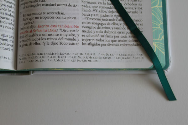 Biblia RVR 1960 letra grande tamaño manual, tapa dura con flores blancas y cantos pintados / Spanish Bible RVR 1960 Handy Size white flowers sprayed edges