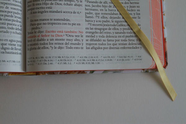 Biblia RVR 1960 letra grande tamaño manual, HC, flores rosadas y cantos pintados / Spanish Bible RVR 1960 Handy Size Large Print with flowers and sprayed edge