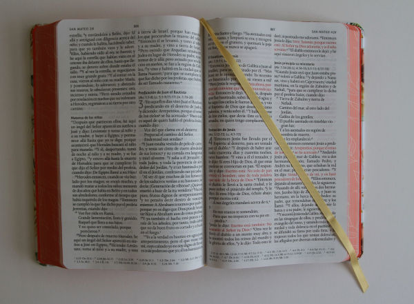 Biblia RVR 1960 letra grande tamaño manual, HC, flores rosadas y cantos pintados / Spanish Bible RVR 1960 Handy Size Large Print with flowers and sprayed edge