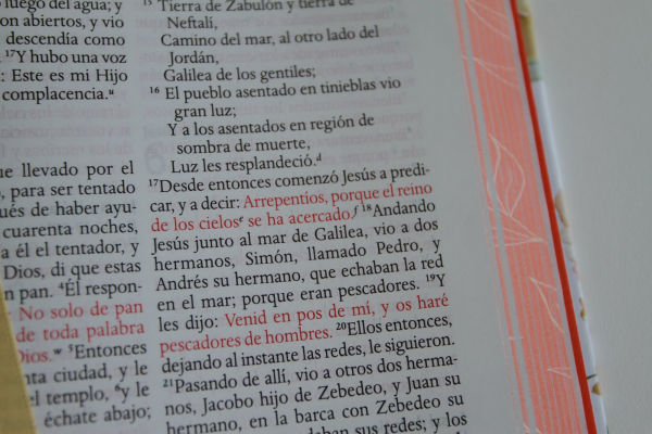 Biblia RVR 1960 letra grande tamaño manual, HC, flores rosadas y cantos pintados / Spanish Bible RVR 1960 Handy Size Large Print with flowers and sprayed edge