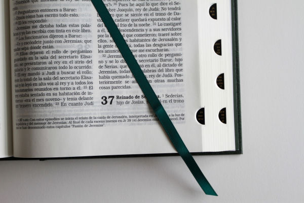 La Biblia Católica: Edición letra grande, HC, verde con índice, Virgen de Guadalupe en la cubierta / Catholic Bible. HC, Green, index, with Viigin of Guadalu