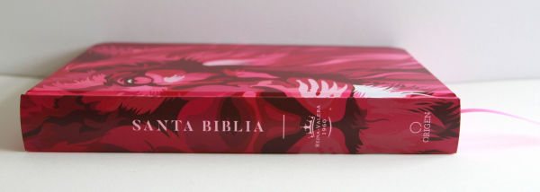 Biblia RVR 1960 letra grande tamaño manual, TD León de Judá rosada (Edición cantos pintados) / Spanish Bible RVR 1960 Handy Size Large Print HC Lion of Juda