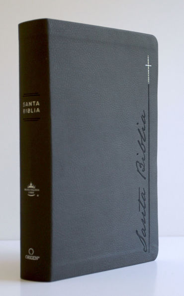 Biblia RVR 1960 Letra gigante, símil piel, gris (Edición cantos pintados) / Spanish Bible RVR 1960 Giant Print Handy Size Leathersoft Gray with cross
