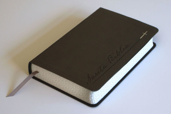 Biblia RVR 1960 Letra gigante, símil piel, gris (Edición cantos pintados) / Spanish Bible RVR 1960 Giant Print Handy Size Leathersoft Gray with cross