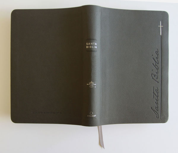 Biblia RVR 1960 Letra gigante, símil piel, gris (Edición cantos pintados) / Spanish Bible RVR 1960 Giant Print Handy Size Leathersoft Gray with cross