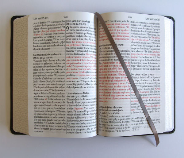 Biblia RVR 1960 Letra gigante, símil piel, gris (Edición cantos pintados) / Spanish Bible RVR 1960 Giant Print Handy Size Leathersoft Gray with cross