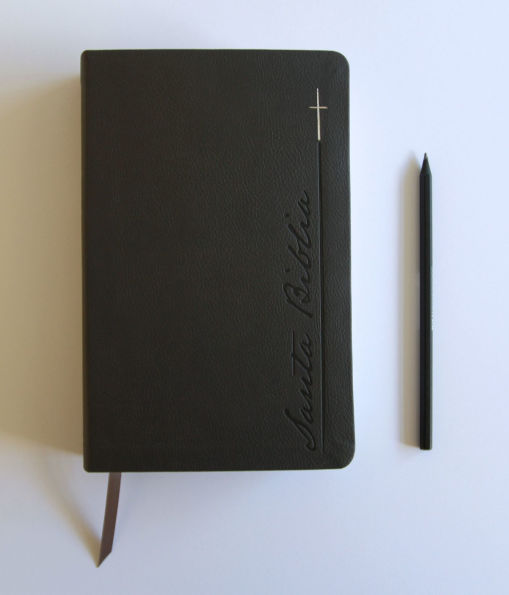 Biblia RVR 1960 Letra gigante, símil piel, gris (Edición cantos pintados) / Spanish Bible RVR 1960 Giant Print Handy Size Leathersoft Gray with cross