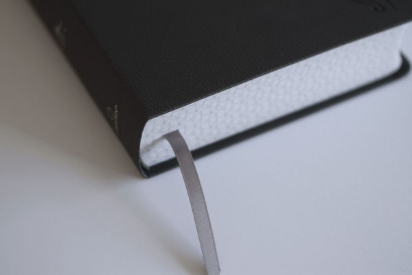 Biblia RVR 1960 Letra gigante, símil piel, gris (Edición cantos pintados) / Spanish Bible RVR 1960 Giant Print Handy Size Leathersoft Gray with cross