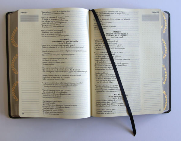 Biblia de apuntes RVR 1960 TD, Negro y oro (Edición cantos pintados) / Spanish Journaling Bible RVR 1960 HC Black and Gold