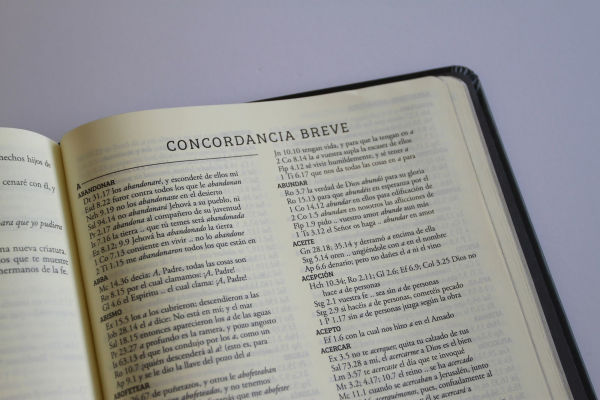Biblia de apuntes RVR 1960 TD, Negro y oro (Edición cantos pintados) / Spanish Journaling Bible RVR 1960 HC Black and Gold