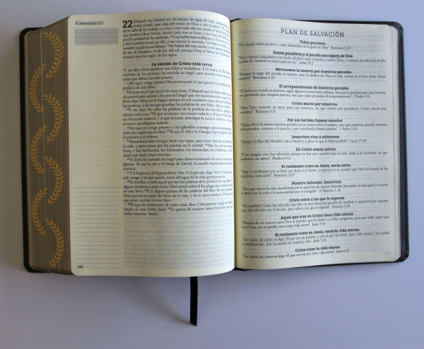 Biblia de apuntes RVR 1960 TD, Negro y oro (Edición cantos pintados) / Spanish Journaling Bible RVR 1960 HC Black and Gold