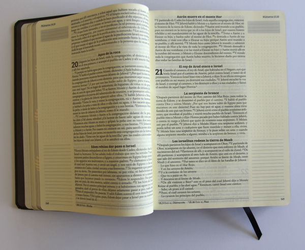 Biblia de apuntes RVR 1960 TD, Negro y oro (Edición cantos pintados) / Spanish Journaling Bible RVR 1960 HC Black and Gold