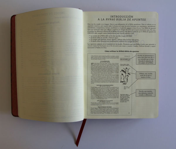 Biblia de Apuntes RVR 1960 Tapa dura, Vino tinto (Edición cantos pintados) / Spanish Journalling Bible RVR 1960 Hardcover Burgundy