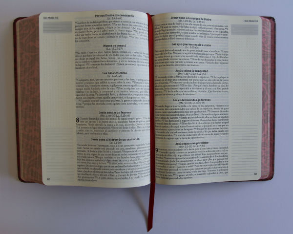 Biblia de Apuntes RVR 1960 Tapa dura, Vino tinto (Edición cantos pintados) / Spanish Journalling Bible RVR 1960 Hardcover Burgundy