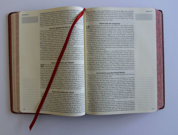 Biblia de Apuntes RVR 1960 Tapa dura, Vino tinto (Edición cantos pintados) / Spanish Journalling Bible RVR 1960 Hardcover Burgundy