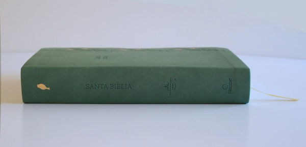 Biblia RVR 1960 Letra gigante símil piel verde con pájaros (Edición cantos pintados) / Spanish Bible RVR 1960 Giant Print Handy Size Leathersoft Green